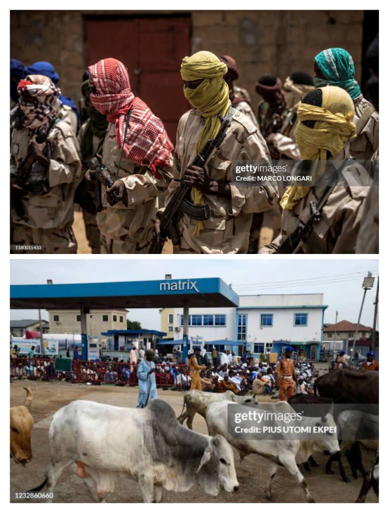 Fulani Terror: A Threat To Nigeria’s Existence  By Ajalekoko Moses